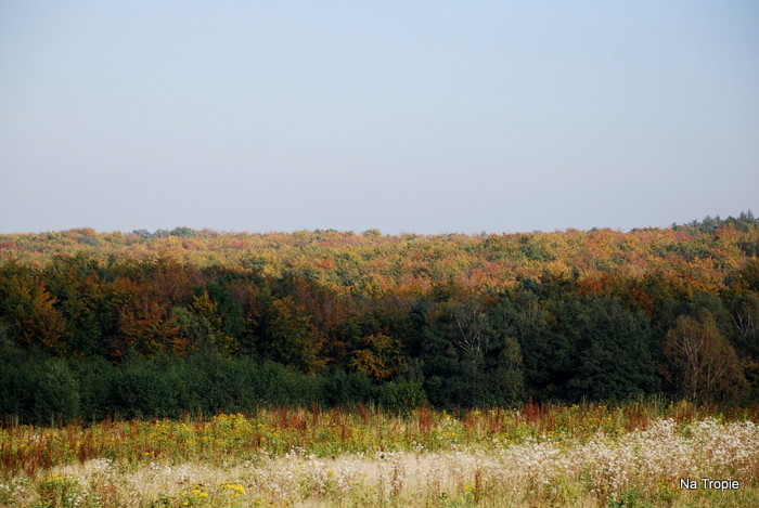 DSC_6279.JPG