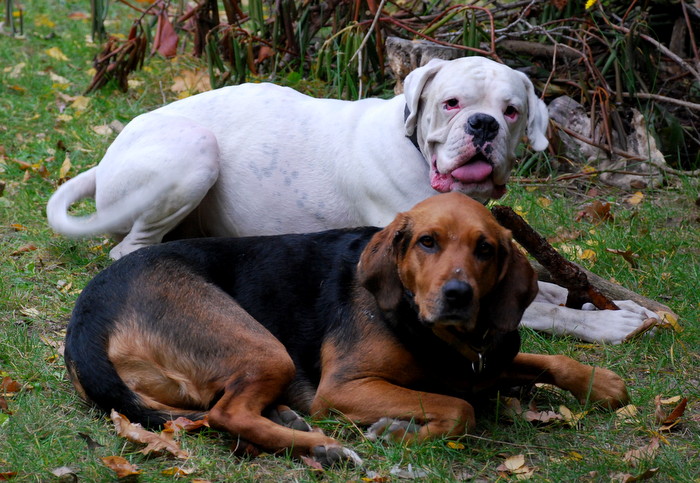 DSC_6416.JPG