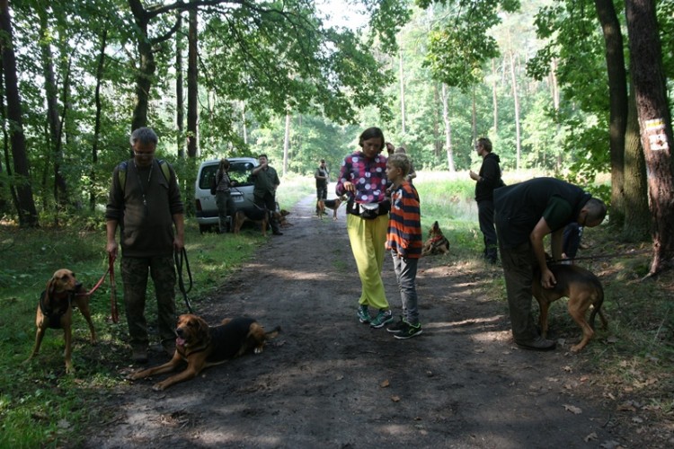 Ścieżki.