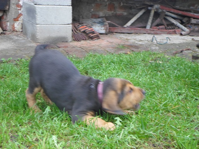 SAM_1113.JPG