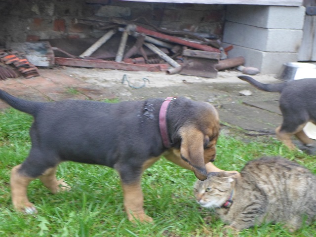 SAM_1114.JPG