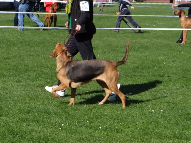 DSC02527.JPG