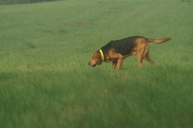 PICT0156.JPG