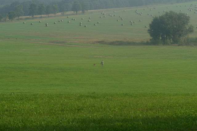 moje ulubione :)