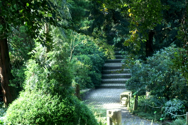 PICT0191.JPG