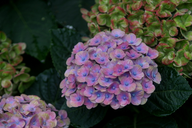 PICT0200.JPG