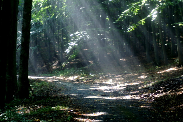 PICT0009.JPG