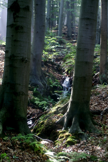 PICT0023.JPG