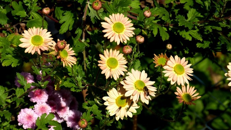 P1020919.JPG