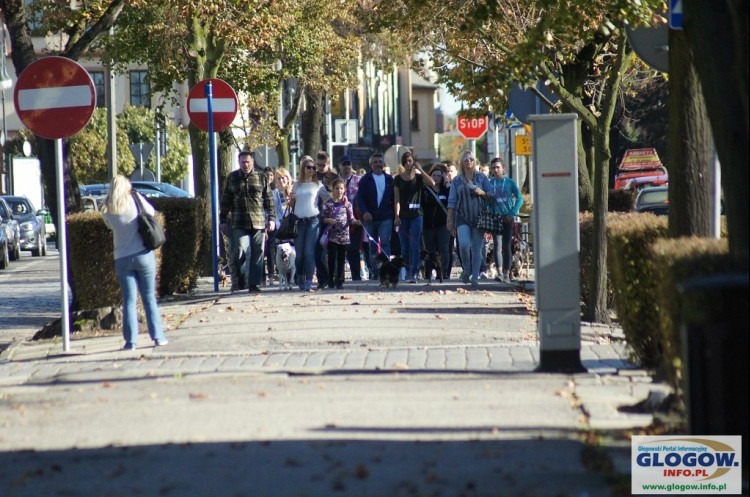 kundelki dumnie kroczą główną ulicą miasta