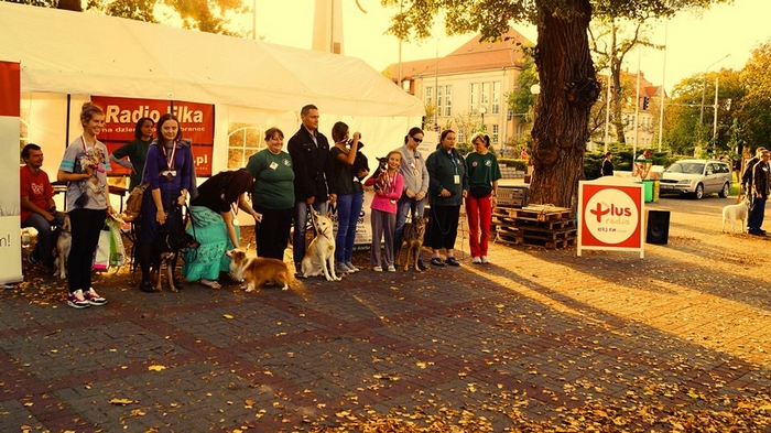 były nawet wybory Miss i Mistera Kundelków