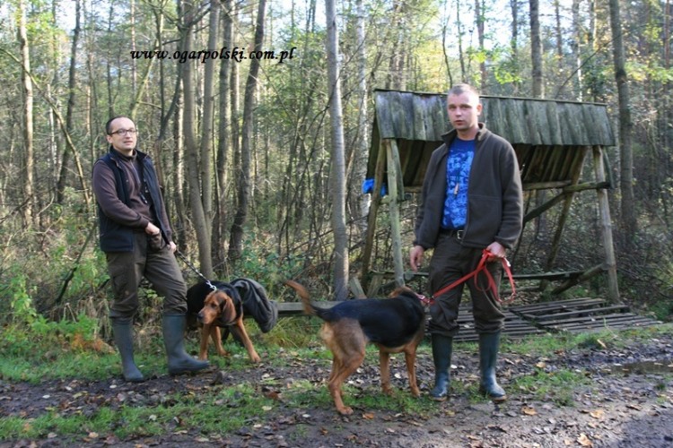 Oczekiwanie na wejście.