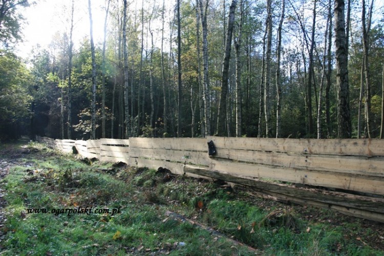 Nowe ogrodzenie w Jarach.