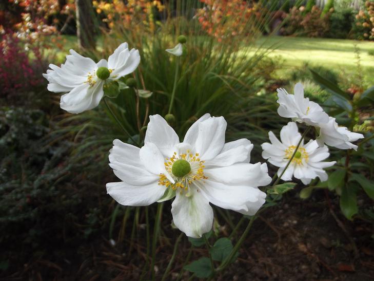 DSCF3469.JPG