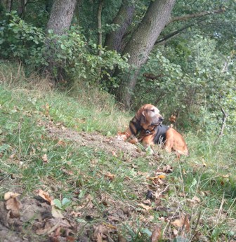 kalif2006_zaździerz wrzesień 2014.JPG
