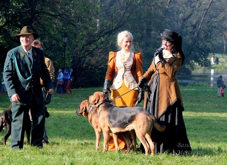 Słów kilka o Ogarach ;)