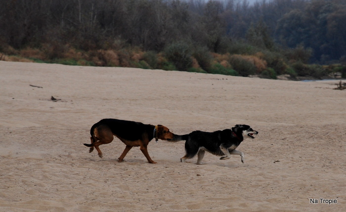 DSC_6501.JPG