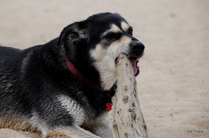 DSC_6517.JPG