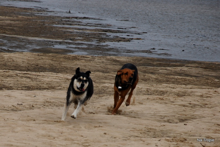 DSC_6530.JPG
