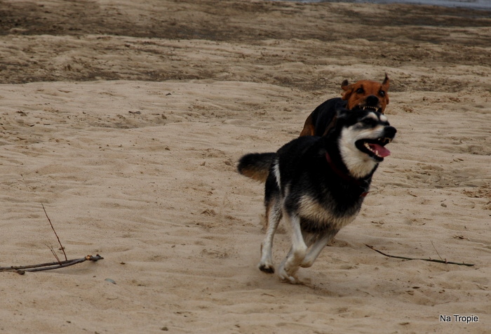 DSC_6531.JPG