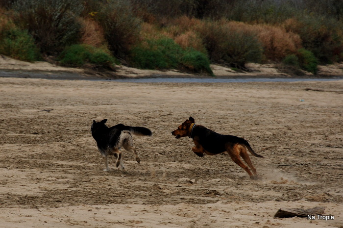 DSC_6532.JPG