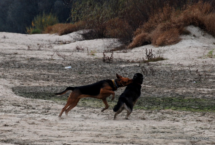 DSC_6555.JPG