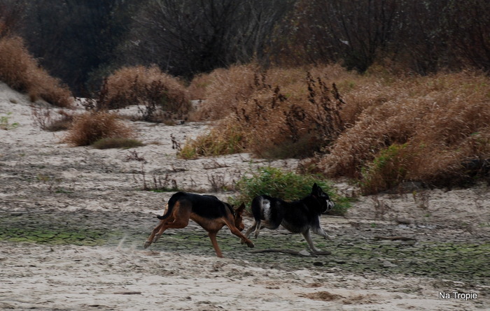 DSC_6556.JPG