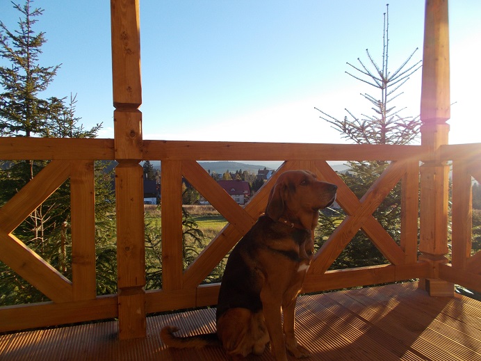 DSCN1039.JPG