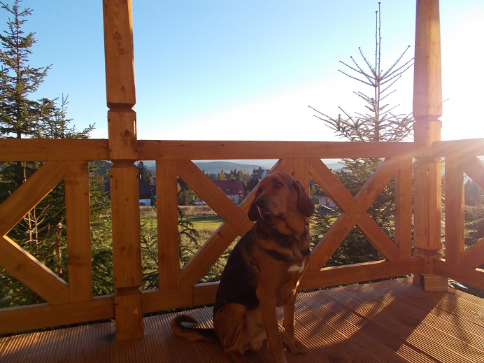 DSCN1040.JPG