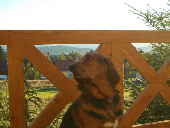 DSCN1041.JPG