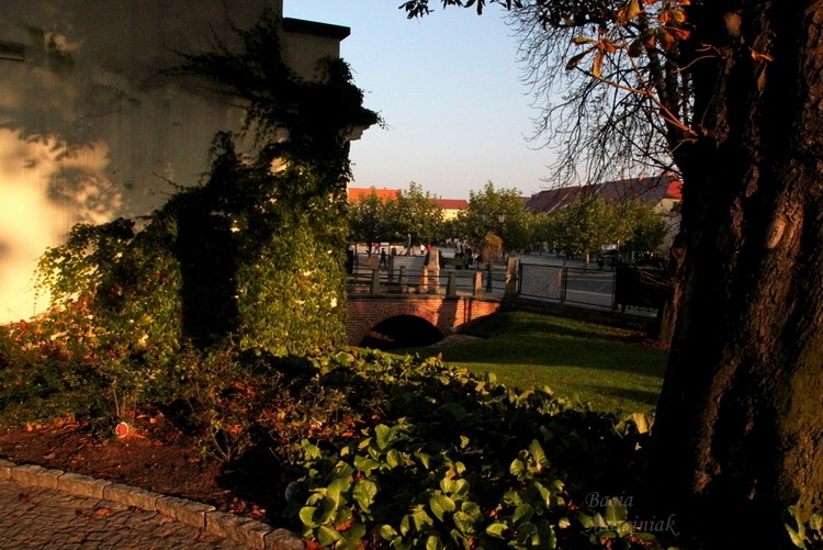 IMG_5685.jpg