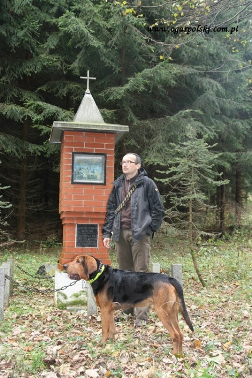 Myśliwi św. Hubertowi