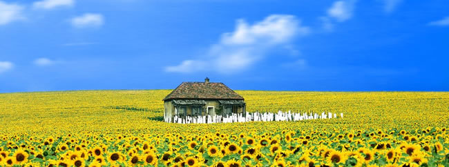 zagadka.jpg