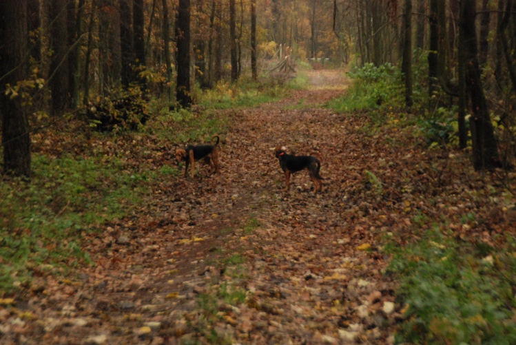 DSC_0092.JPG