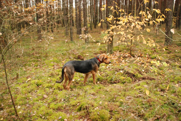 DSC_0212.JPG