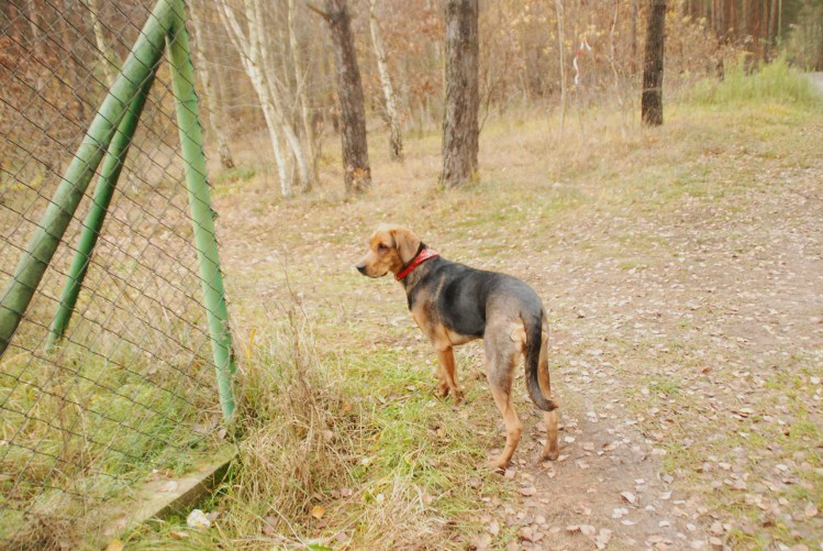 DSC_0235.JPG