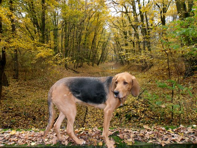 SAM_6830.JPG