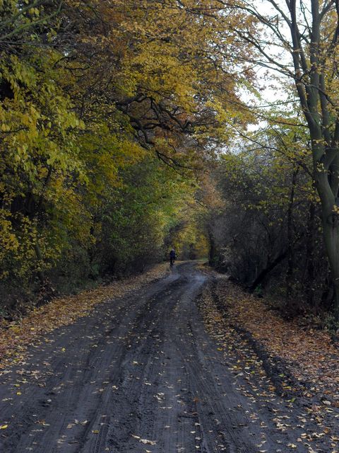 SAM_6824.JPG