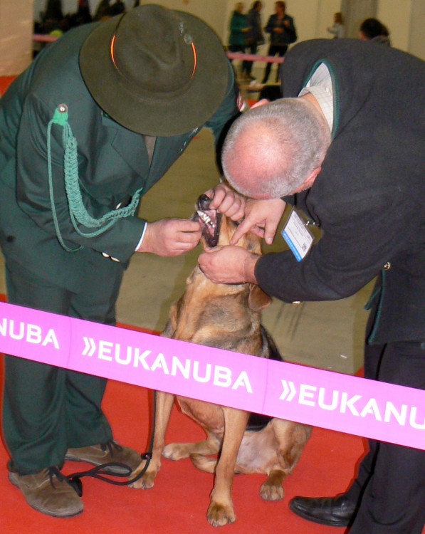 Sędzia dentysta ;)