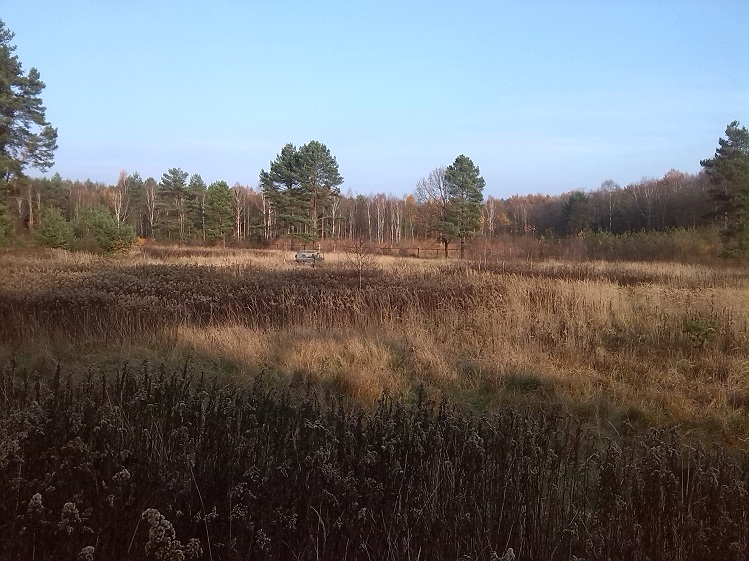 Miejsce ćwiczeń na przywołanie