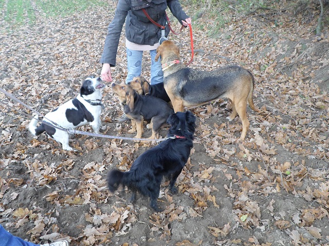Dzielą smaczkami.