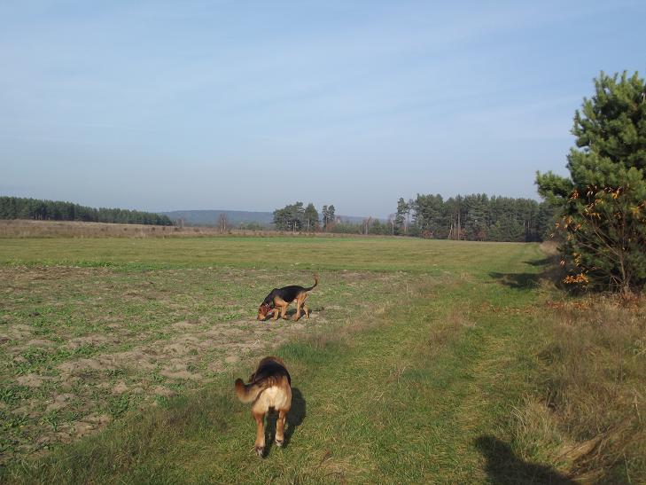 chodzimy sobie
