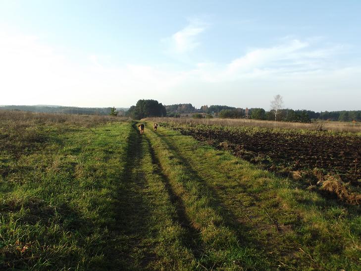 pan woła, więc wracamy