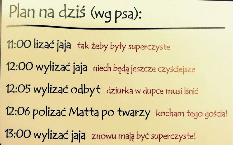 plan psa.jpg