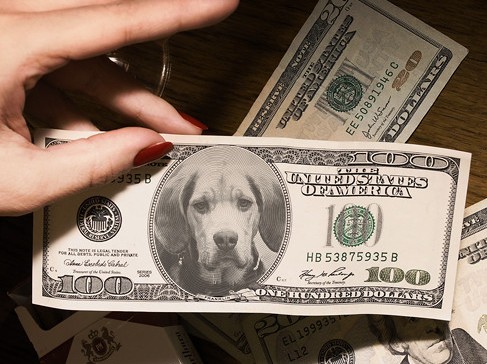 Ogar na 100dolarówce ;D