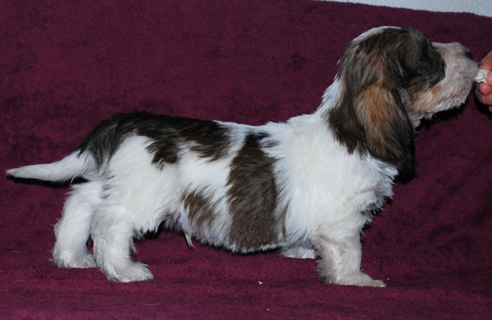 DSC_6797.JPG