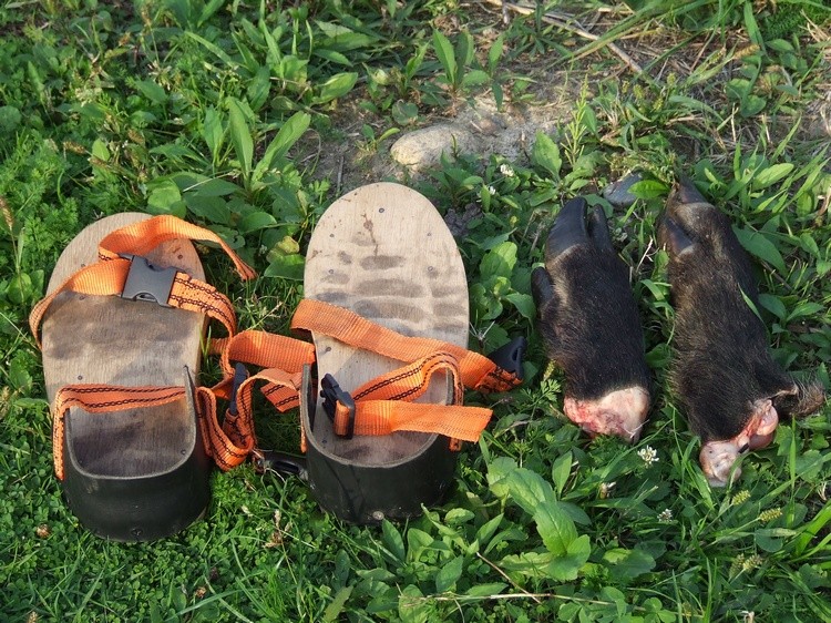 DSCF4363.JPG