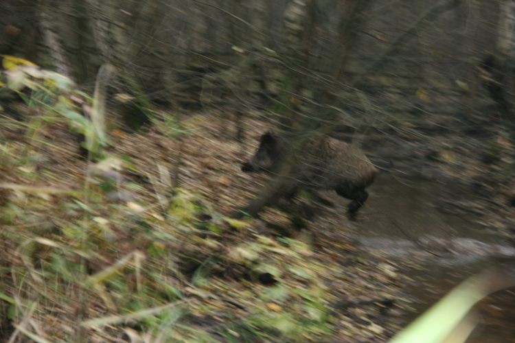 a miało być takie ładne zdjęcie