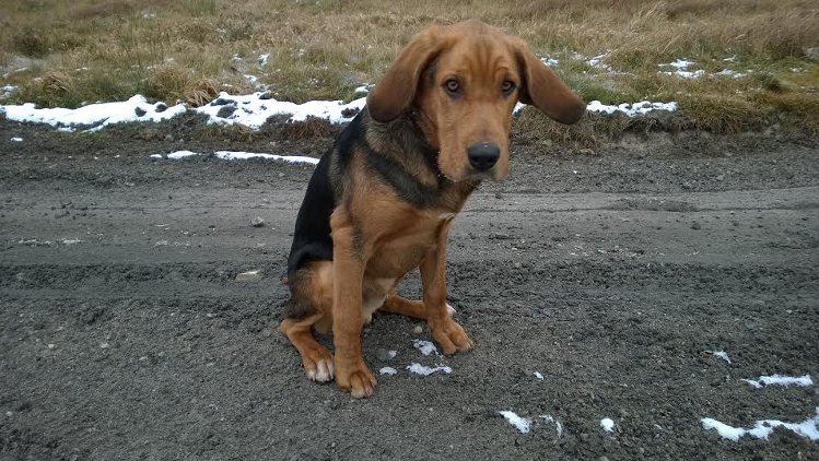 gapula:)