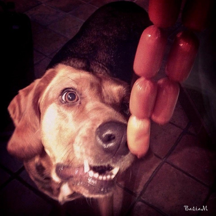 coda.jpg